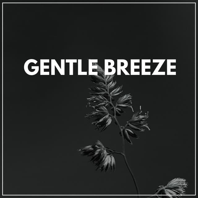 Gentle Breeze - Organic Sound
