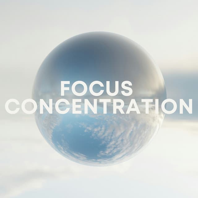 Focus Concentration - Concentration Help