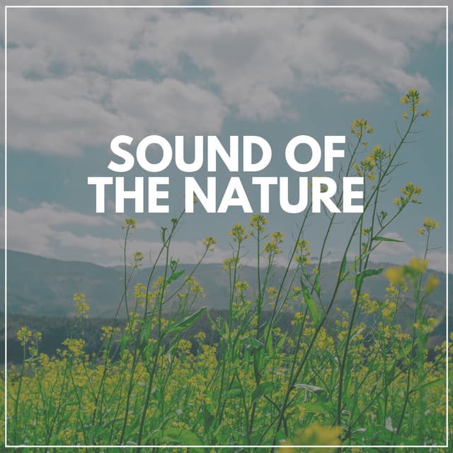 Sound of the Nature - Epic Nature Sounds
