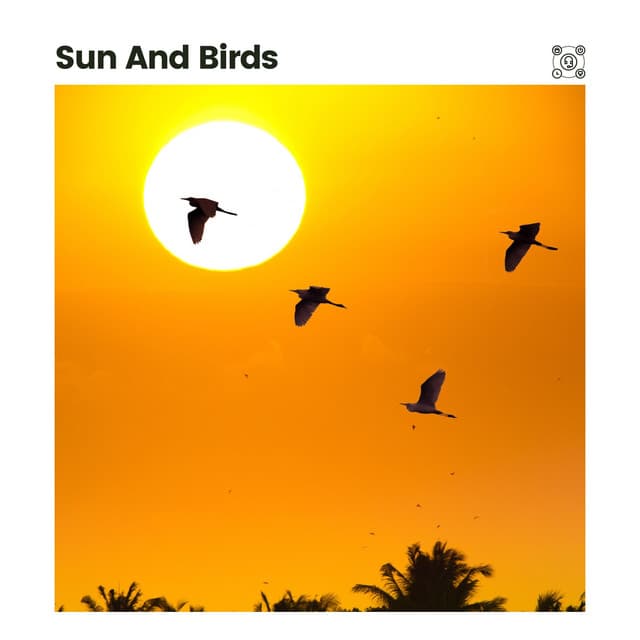 Sun and Birds - Bird Sounds