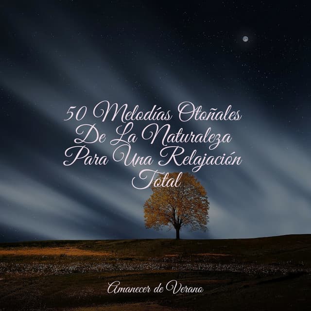 50 Melodías Otoñales De La Naturaleza Para Una Relajación Total - New Age