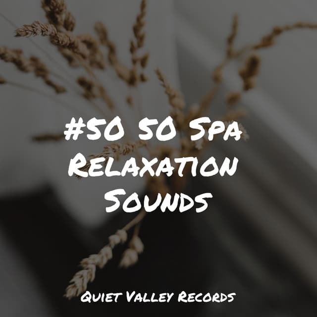 #50 50 Spa Relaxation Sounds - Ambient Nature White Noise