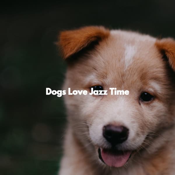 Dogs Love Jazz Time - Music for Dogs Playlist