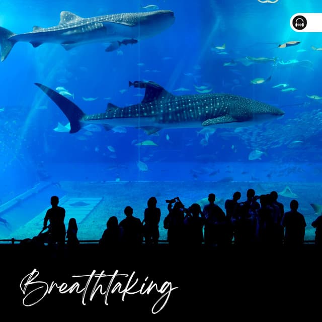 Breathtaking - Mother Nature Sound FX