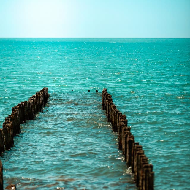 10 Contemplations: Waves - Ocean Sounds