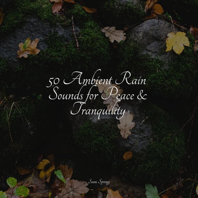 50 Ambient Rain Sounds for Peace & Tranquility - Ocean Sounds
