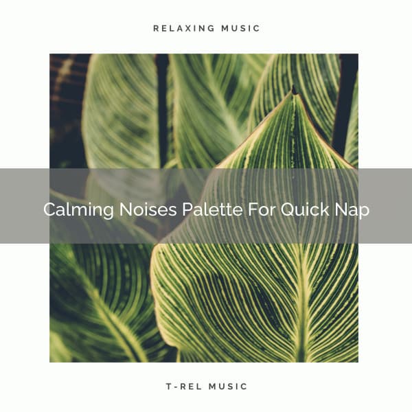 Calming Noises Palette For Quick Nap - Calming Brown Restful Sounds