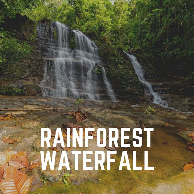 Rainforest Waterfall - Waterfalling