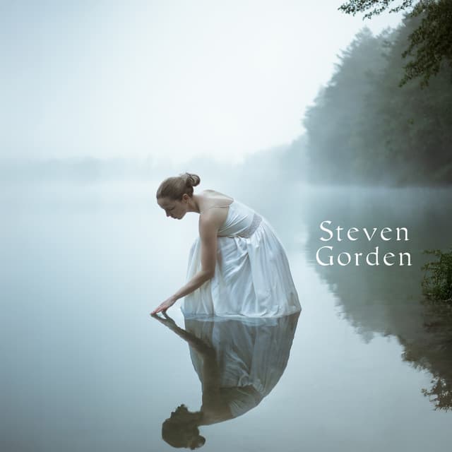 In the Presence of Silence - Steven Gorden