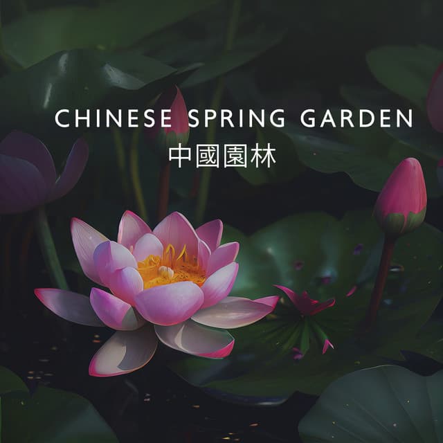 Chinese Spring Garden 中國園林 - Relaxing Chinese Background Music - Traditional Chinese Ambience – 中国氛围