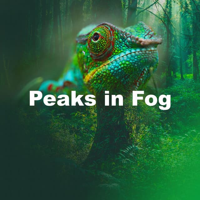 Peaks in Fog - Avslappning Sound