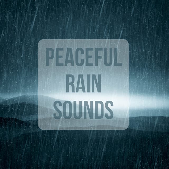 Peaceful Rain Sounds - The Rain Library