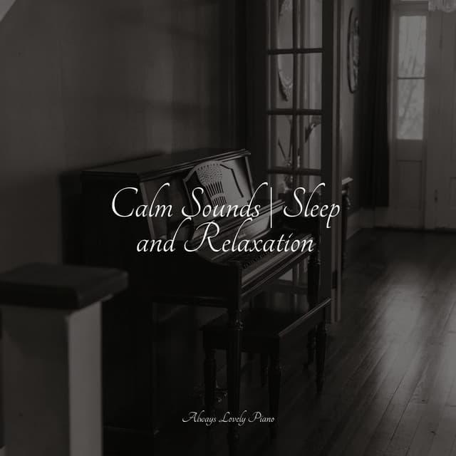 Calm Sounds | Sleep and Relaxation - Soulful Piano Group