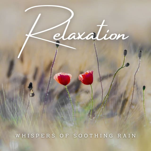 Rainfall Radiance: Ambient Serenity for Relaxation - Calm Rain Sounds