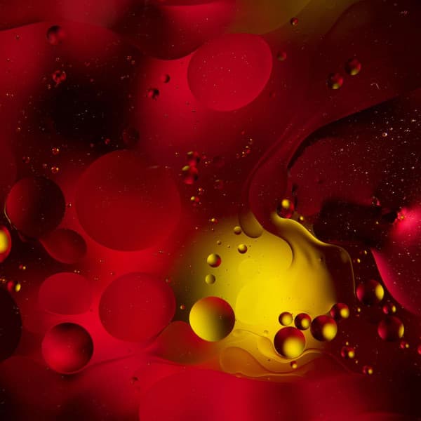 Music for Easy Summers - Coffee Shop Jazz Radio