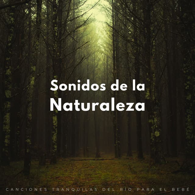 Sonidos De La Naturaleza: Canciones Tranquilas Del Río Para El Bebé - Sonidos de agua y río
