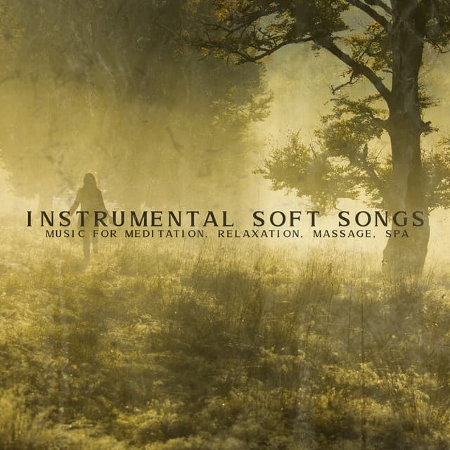 Instrumental Soft Songs: Music for Meditation, Relaxation, Massage, Spa - Sensual New Age Maker