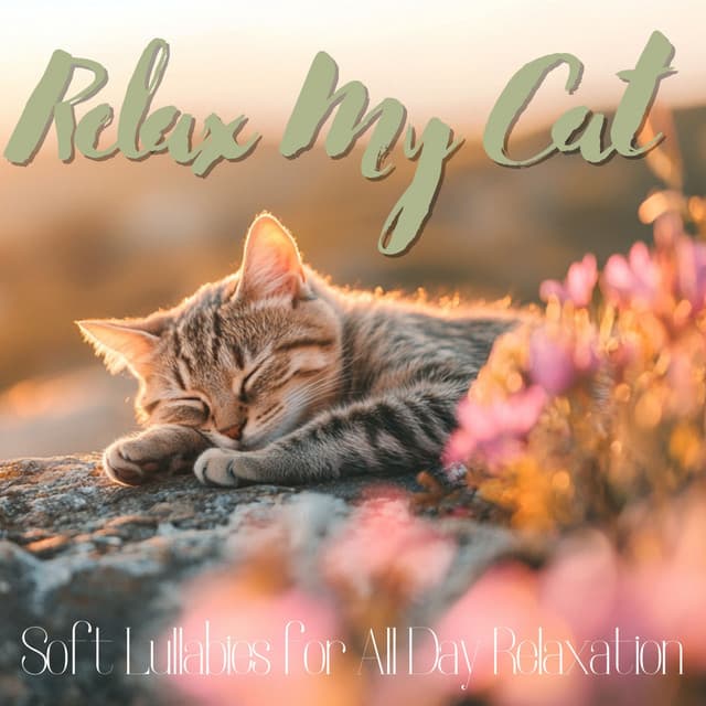 Relax My Cat - Soft Lullabies for All Day Relaxation - RelaxMyCat