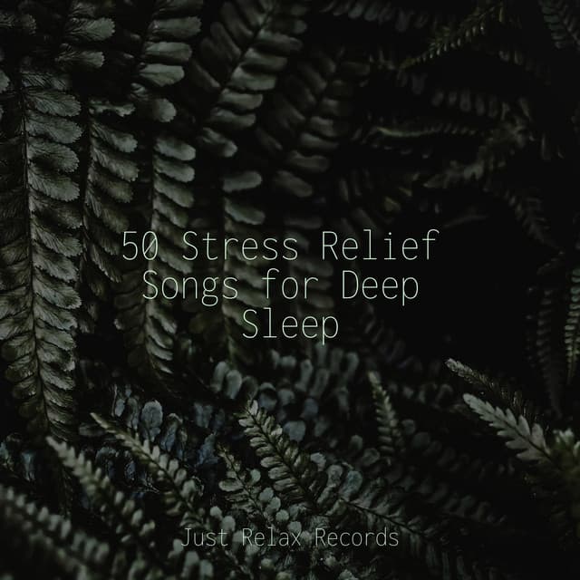50 Stress Relief Songs for Deep Sleep - Relaxing Spa Music