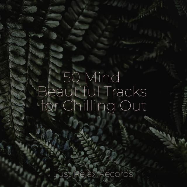 50 Mind Beautiful Tracks for Chilling Out - ASMR HD