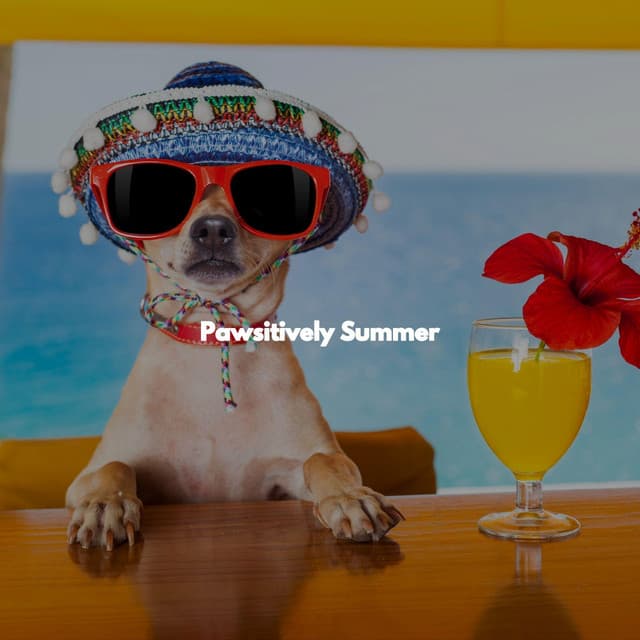 Pawsitively Summer - Bossa Lounge Deluxe