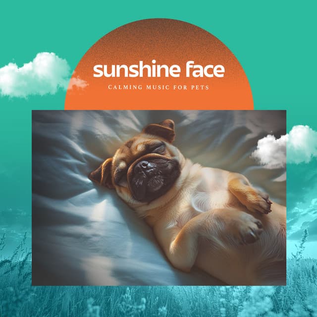 Sunshine Face - Calming Music For Pets