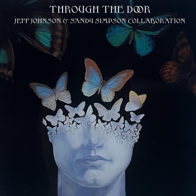 Through the Door - Jeff Johnson