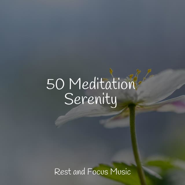 50 Meditation Serenity - Rising Higher Meditation