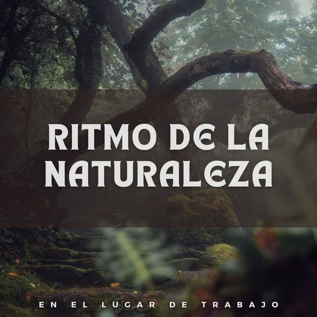 Ritmo de la Naturaleza en el Lugar de Trabajo - NatuREM