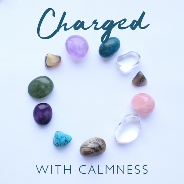 Charged with Calmness - Moonlight Shadow Universe