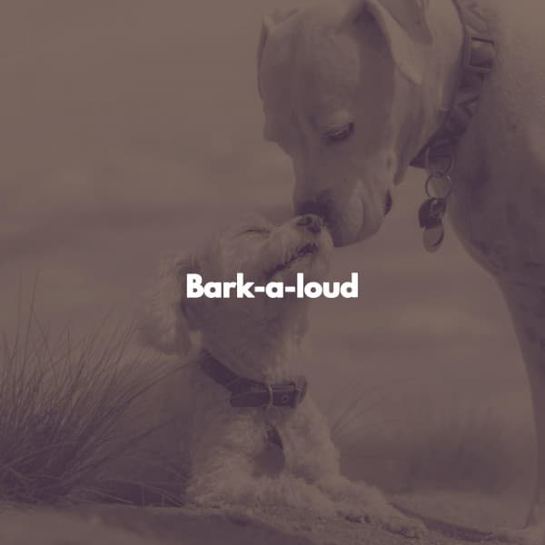 Bark-a-loud - Romantico Cafe Jazz