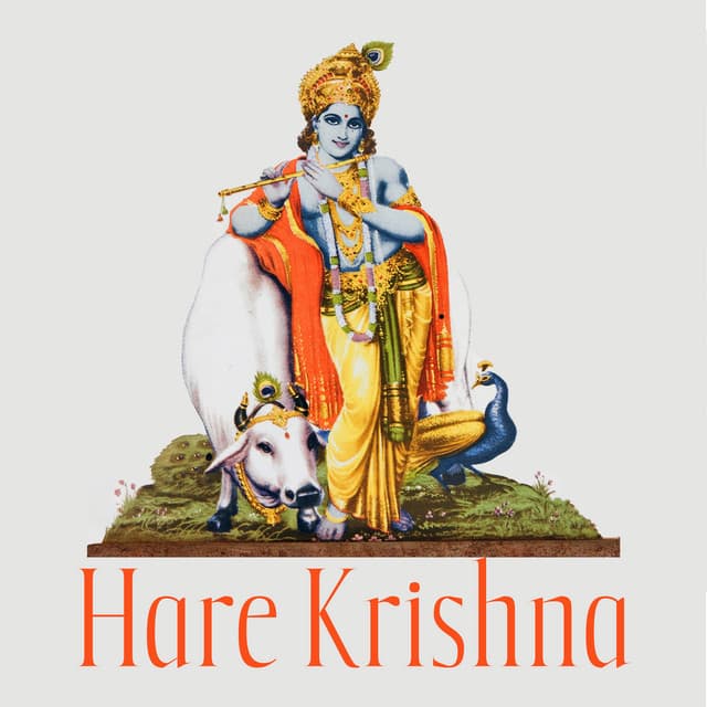 Hare Krishna: My Sweet Lord - Janav Das