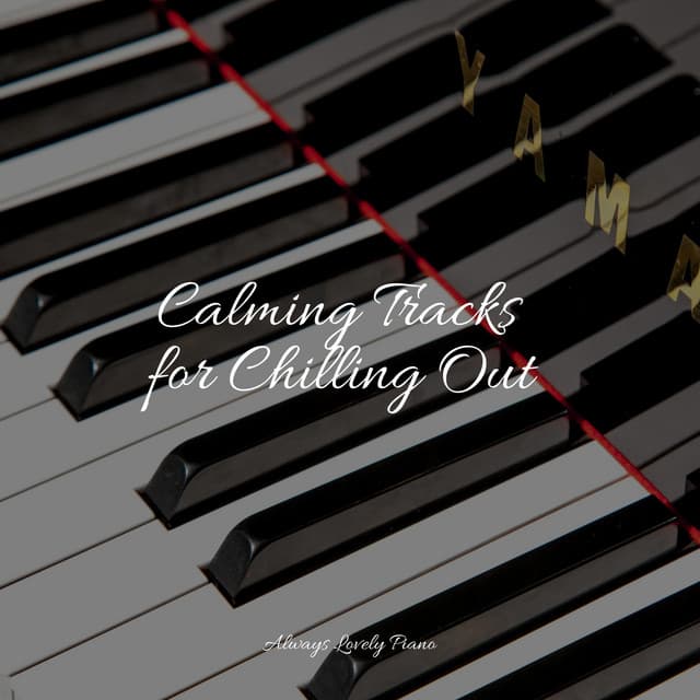 The Best Piano Melodies - Soulful Piano Group