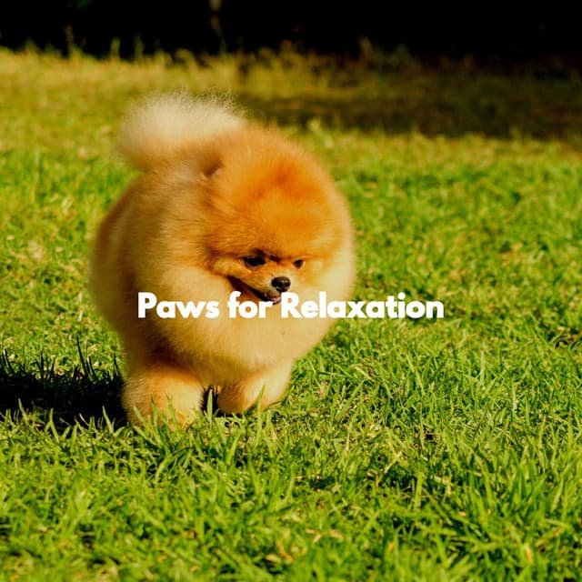 Paws for Relaxation - Puppy Music