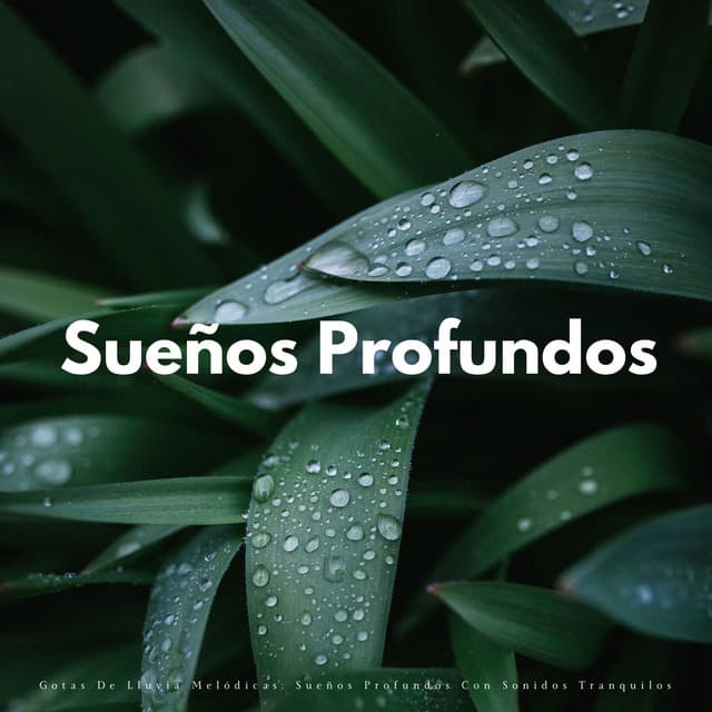 Gotas De Lluvia Melódicas: Sueños Profundos Con Sonidos Tranquilos - Lluvia para un sueño profundo