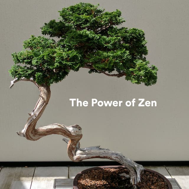 The Power of Zen - Native Flute Ensemble