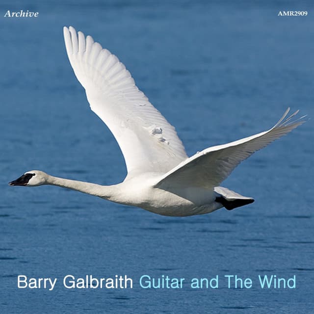 Guitar And the Wind - Barry Galbraith