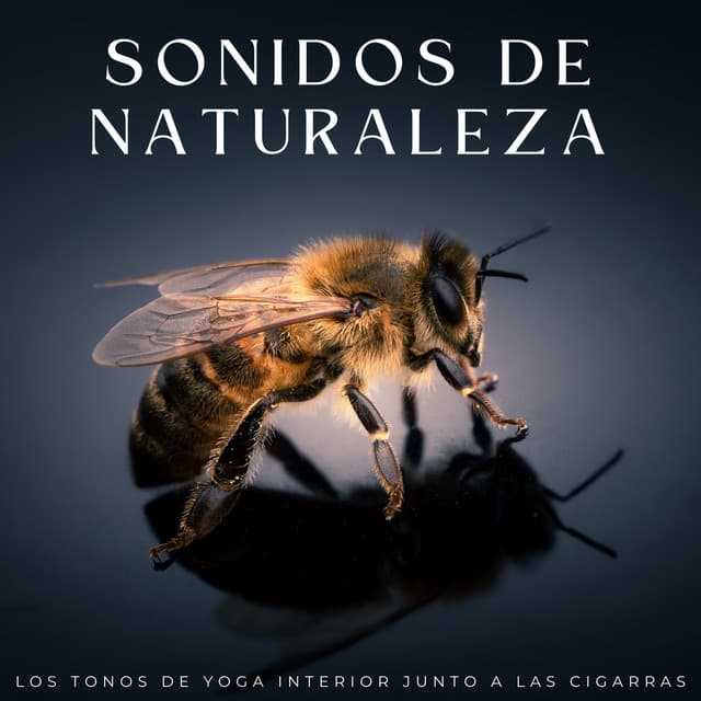 Sonidos De Naturaleza: Los Tonos De Yoga Interior Junto A Las Cigarras - Sonidos Naturaleza