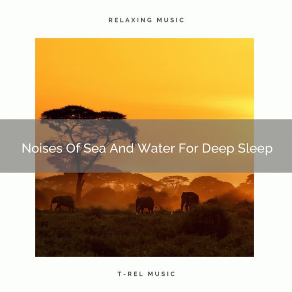 Noises Of Sea And Water For Deep Sleep - Noise Makers