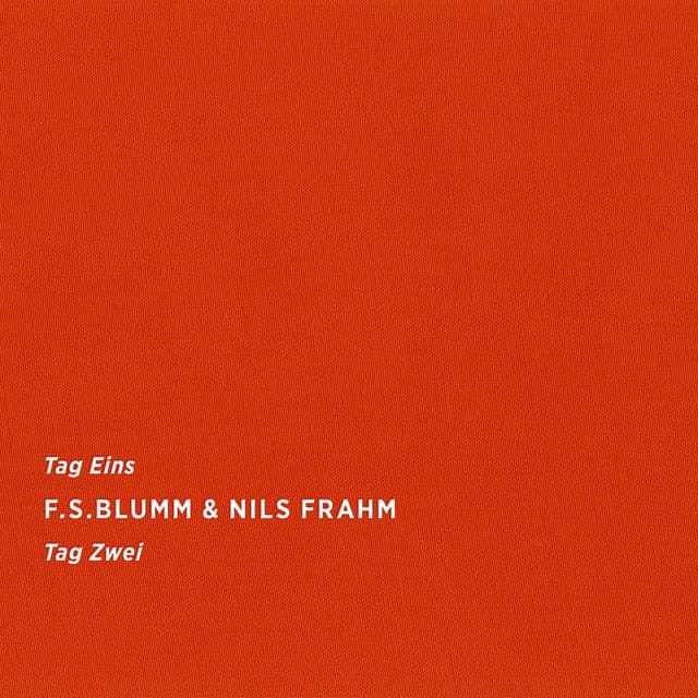 Tag Eins Tag Zwei - F.S.Blumm