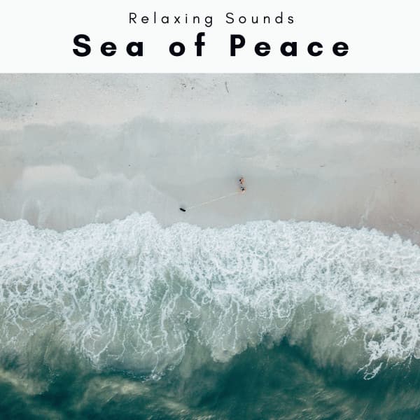 1 Sea of Peace - Waves Hard