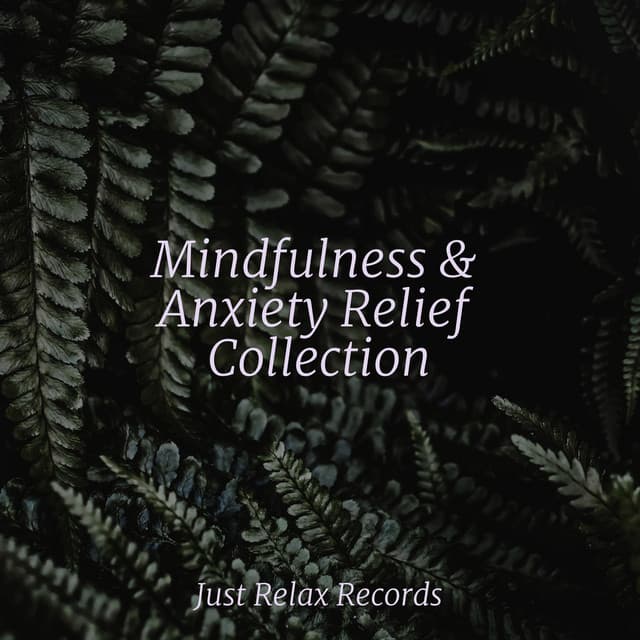 Mindfulness & Anxiety Relief Collection - Powerthoughts Meditation Club