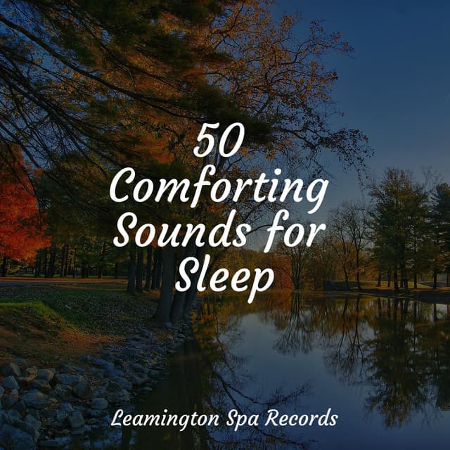 50 Comforting Sounds for Sleep - Sounds of Nature White Noise for Mindfulness Meditation and Relaxation