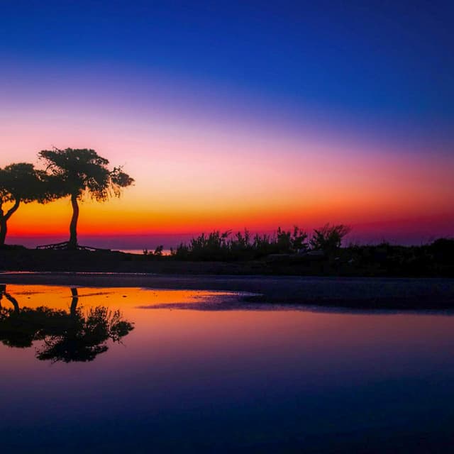 50 Water Songs: Quiet Nights - Sea Waves Sounds