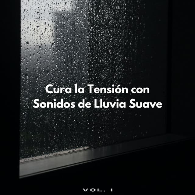 Cura La Tensión Con Sonidos De Lluvia Suave Vol. 1 - Lluvia del Pacifico