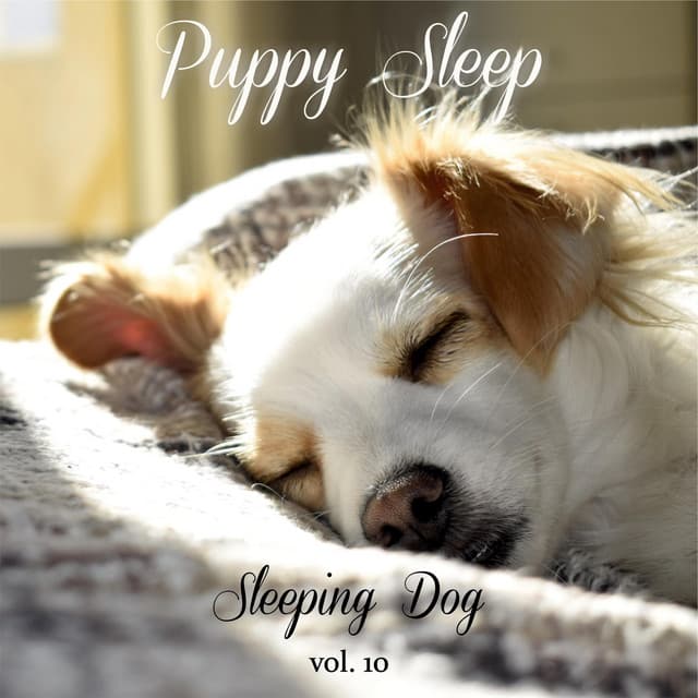 Sleeping Dog Volume 10 - Puppy Sleep