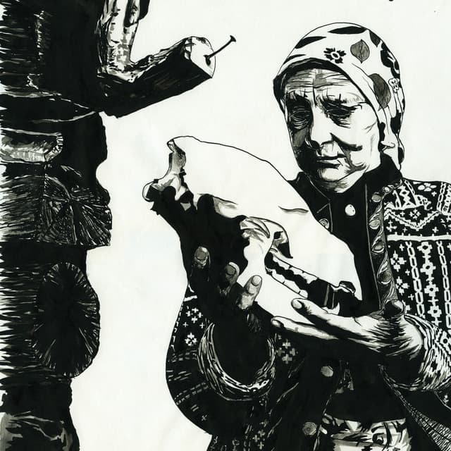 Mount Eerie - The Microphones