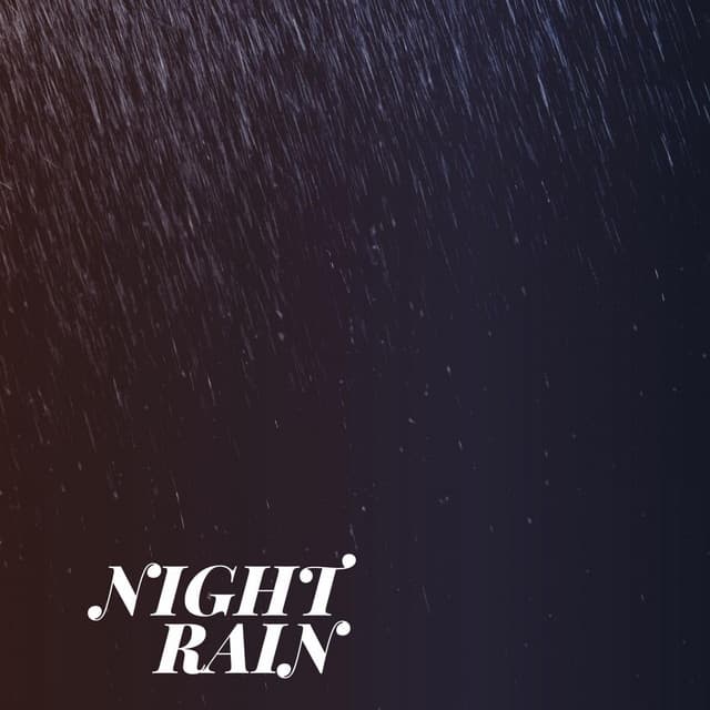 Night Rain - Serene Rose