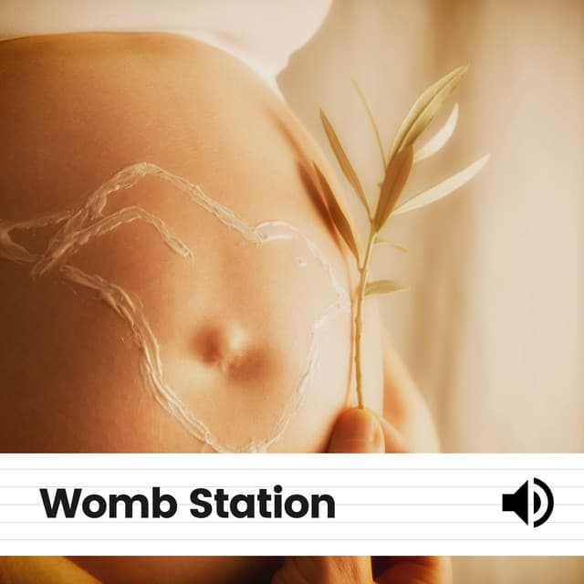 Womb Station - Womb Sound