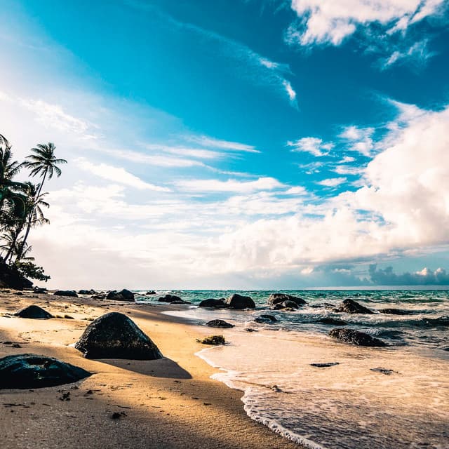 1 Coastal Night: Cascading Waters - Coastal Sounds